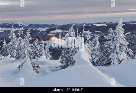 Schnee bedeckt viele Böden und Bäume. Magische Winterlandschaft Stockfoto