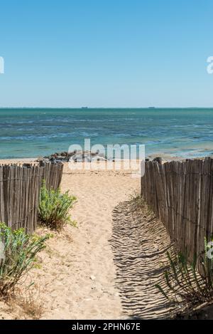 Oléron Island, Charente-Maritime. Zugang zum Strand von La Brée Stockfoto