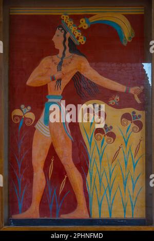 Fresko des Prinzen der Lilien in den Ruinen des Palastes Knossos auf Kreta, Griechenland. Stockfoto