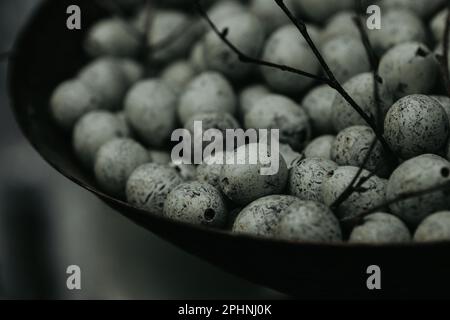 Nahaufnahme einer Schüssel mit kleinen Eiern Stockfoto