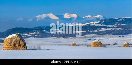 Heuhaufen im Winter unter den Gipfeln der Flint Creek Range in der Nähe von avon, montana Stockfoto