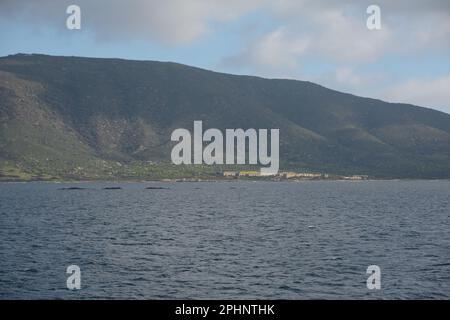 Asinara, Sardinien (Sardegna), Italien Stockfoto