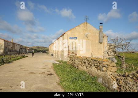 Asinara, Sardinien (Sardegna), Italien Stockfoto