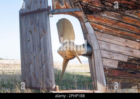 Ein altes verlassenes Schiffswrack aus Holz mit einem Kupferpropeller. Holzbohlen von einem alten Retro-Rumpf-Boot. Stockfoto