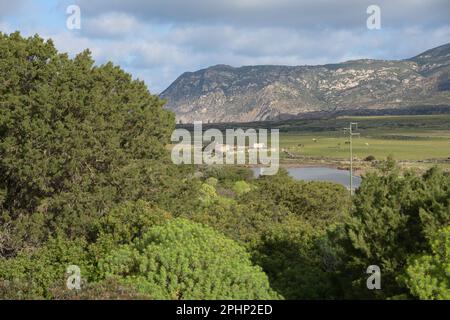 Asinara, Sardinien (Sardegna), Italien Stockfoto