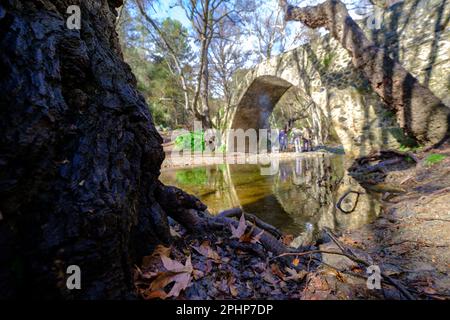 Baumrinde und malerische mittelalterliche Brücke von Tzelefos im Hintergrund in Troodos auf Zypern Stockfoto