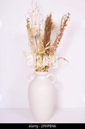 Eine wunderschöne Anordnung getrockneter Blumen in einer stilvollen weißen Vase. Beigefarbene Blumen auf weißem Hintergrund fotografiert, Bild-ID: 2PHP8N6 Stockfoto