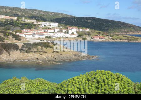 Asinara, Sardinien (Sardegna), Italien Stockfoto