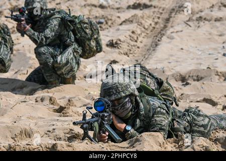 Pohang, Südkorea. 29. März 2023. Südkoreanische Marines zielen am 29. März 2023 in Pohang, Südkorea, in einer Strandlandungsübung auf Waffen. Die Vereinigten Staaten und Südkorea veranstalten zum ersten Mal seit fünf Jahren die Ssangyong-Übung zum amphibischen Angriff, inmitten einer wachsenden Bedrohung durch Nordkorea. Foto: Thomas Maresca/UPI Credit: UPI/Alamy Live News Stockfoto