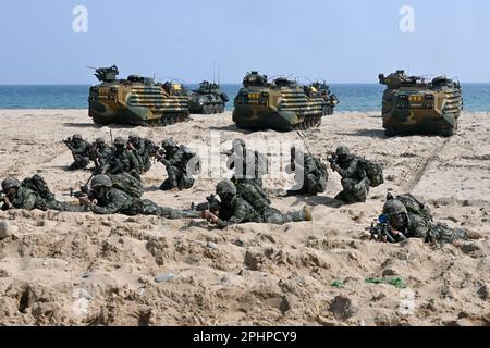 Pohang, Südkorea. 29. März 2023. Südkoreanische Marines zielen am 29. März 2023 in Pohang, Südkorea, in einer Strandlandungsübung auf Waffen. Die Vereinigten Staaten und Südkorea veranstalten zum ersten Mal seit fünf Jahren die Ssangyong-Übung zum amphibischen Angriff, inmitten einer wachsenden Bedrohung durch Nordkorea. Foto: Thomas Maresca/UPI Credit: UPI/Alamy Live News Stockfoto