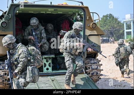 Pohang, Südkorea. 29. März 2023. Südkoreanische Marines stürmen am 29. März 2023 den Strand in Pohang, Südkorea. Die Vereinigten Staaten und Südkorea veranstalten zum ersten Mal seit fünf Jahren die Ssangyong-Übung zum amphibischen Angriff, inmitten einer wachsenden Bedrohung durch Nordkorea. Foto: Thomas Maresca/UPI Credit: UPI/Alamy Live News Stockfoto