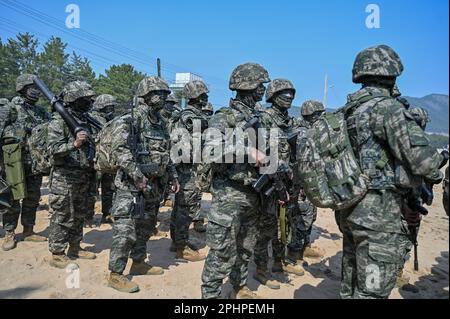 Pohang, Südkorea. 29. März 2023. Südkoreanische Marines stehen am 29. März 2023 während einer Landungsübung am Strand in Pohang, Südkorea. Die Vereinigten Staaten und Südkorea veranstalten zum ersten Mal seit fünf Jahren die Ssangyong-Übung zum amphibischen Angriff, inmitten einer wachsenden Bedrohung durch Nordkorea. Foto: Thomas Maresca/UPI Credit: UPI/Alamy Live News Stockfoto