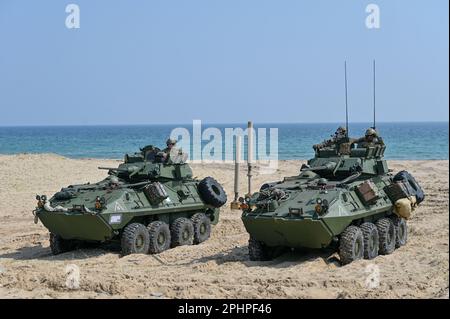 Pohang, Südkorea. 29. März 2023. US-Amphibienfahrzeuge stürmen am 29. März 2023 den Strand in Pohang, Südkorea. Die Vereinigten Staaten und Südkorea veranstalten zum ersten Mal seit fünf Jahren die Ssangyong-Übung zum amphibischen Angriff, inmitten einer wachsenden Bedrohung durch Nordkorea. Foto: Thomas Maresca/UPI Credit: UPI/Alamy Live News Stockfoto