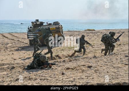 Pohang, Südkorea. 29. März 2023. Südkoreanische Marines stürmen am 29. März 2023 den Strand in Pohang, Südkorea. Die Vereinigten Staaten und Südkorea veranstalten zum ersten Mal seit fünf Jahren die Ssangyong-Übung zum amphibischen Angriff, inmitten einer wachsenden Bedrohung durch Nordkorea. Foto: Thomas Maresca/UPI Credit: UPI/Alamy Live News Stockfoto