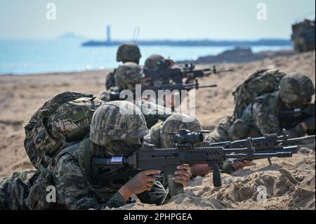 Pohang, Südkorea. 29. März 2023. Südkoreanische Marines zielen am 29. März 2023 in Pohang, Südkorea, in einer Strandlandungsübung auf Waffen. Die Vereinigten Staaten und Südkorea veranstalten zum ersten Mal seit fünf Jahren die Ssangyong-Übung zum amphibischen Angriff, inmitten einer wachsenden Bedrohung durch Nordkorea. Foto: Thomas Maresca/UPI Credit: UPI/Alamy Live News Stockfoto