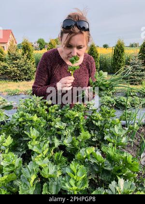 Frau pflücken das Gemüse, arbeiten in einem Hausgarten im Hinterhof. Ehrliche Menschen, echte Momente, authentische Situationen Stockfoto