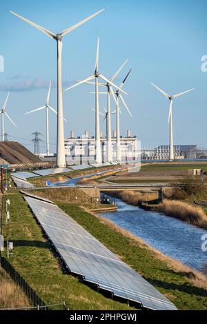 Solarpark am Slaperdijk-Deich in der Nähe der Eemshaven, Testprojekt, 17.000 Solarmodule wurden auf gut 5 KM installiert, die Niederlande haben über 22,00 Stockfoto