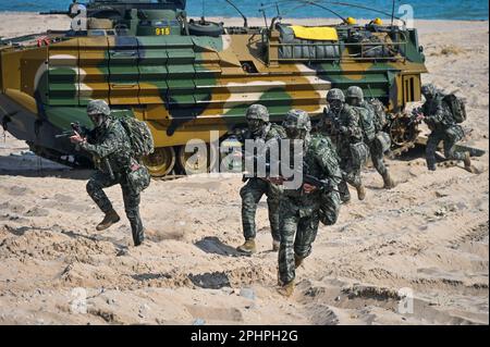 Pohang, Südkorea. 29. März 2023. Südkoreanische Marines stürmen am 29. März 2023 den Strand in Pohang, Südkorea. Die Vereinigten Staaten und Südkorea veranstalten zum ersten Mal seit fünf Jahren die Ssangyong-Übung zum amphibischen Angriff, inmitten einer wachsenden Bedrohung durch Nordkorea. Foto: Thomas Maresca/UPI Credit: UPI/Alamy Live News Stockfoto