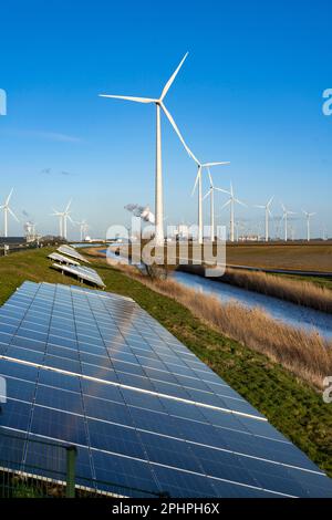 Solarpark am Deich Slaperdijk in der Nähe der Eemshaven, Testprojekt, 17.000 Solarmodule wurden auf gut 5 KM installiert, die Niederlande haben über 22,00 Stockfoto