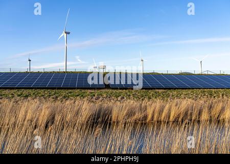 Solarpark am Deich Slaperdijk in der Nähe der Eemshaven, Testprojekt, 17.000 Solarmodule wurden auf gut 5 KM installiert, die Niederlande haben über 22,00 Stockfoto