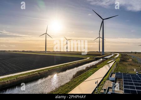 Solarpark am Deich Slaperdijk in der Nähe der Eemshaven, Testprojekt, 17.000 Solarmodule wurden auf gut 5 KM installiert, die Niederlande haben über 22,00 Stockfoto