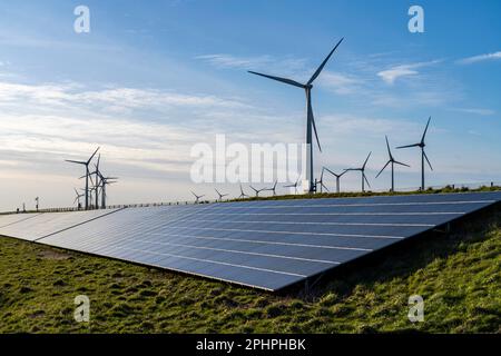 Solarpark am Deich Slaperdijk in der Nähe der Eemshaven, Testprojekt, 17.000 Solarmodule wurden auf gut 5 KM installiert, die Niederlande haben über 22,00 Stockfoto