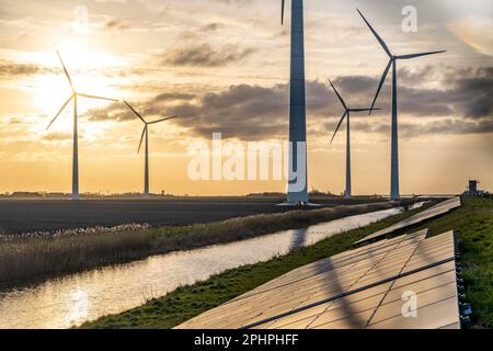 Solarpark am Deich Slaperdijk in der Nähe der Eemshaven, Testprojekt, 17.000 Solarmodule wurden auf gut 5 KM installiert, die Niederlande haben über 22,00 Stockfoto