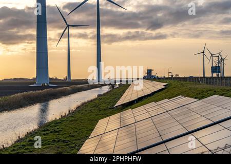 Solarpark am Deich Slaperdijk in der Nähe der Eemshaven, Testprojekt, 17.000 Solarmodule wurden auf gut 5 KM installiert, die Niederlande haben über 22,00 Stockfoto