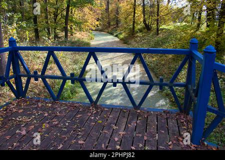 Eine kleine blaue Brücke über dem Fluss im Veltrusy Park. Tschechische Republik. Stockfoto