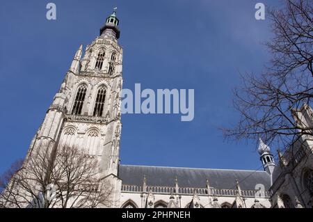 Der Turm des Grote Kerk in Breda, Niederlande, mit blauem Himmel und einigen Zirruswolken Stockfoto