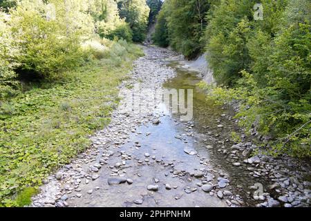 Ausgetrocknetes Flussbett, Wasserbett. Steine und trockene Bäume. Der Klimawandel schreitet rasch voran. Ohne Wasser gibt es kein Leben, tagsüber ohne Menschen Stockfoto