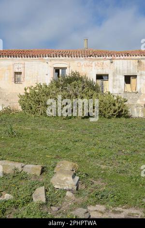 Asinara, Sardinien (Sardegna), Italien Stockfoto