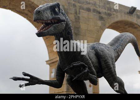 Modell eines Velociraptor in den oberen Barrakka-Gärten, Valletta, Malta. Szenen aus dem Film/Film Jurassic World Dominion aus dem Jahr 2022 wurden in Malta gedreht, und dieser Dinosaurier wurde im Rahmen der Malta Movie Tour, die über die Jahre viele Filme und Filme beherbergte, in den Gärten ausgestellt. Stockfoto