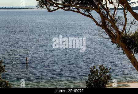 28. März 2023, Port Stephens, New South Wales, Australien: Tourist genießt ein Paddelboarderlebnis in Shoal Bay Beach, Port Stephens, Mid North Coast, New South Wales, Australien. Shoal Bay ist der östlichste Vorort der lokalen Gebietskörperschaft Port Stephens in der Hunter-Region von New South Wales, Australien. Es liegt am südlichen Ufer von Port Stephens, neben der gleichnamigen Bucht am Eingang zum Hafen. Australien hat mehr als 11 000 Strände. Einige Strände sind Spielplätze für Meeres- und andere Wildtiere. Laut World Factbook hat Australien den sechsten Stockfoto