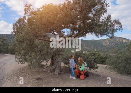 Mutter und Tochter in Sportbekleidung und mit Rucksäcken wandern durch den Wald und die Berge. Touristen kleben im Wacholdergesicht. Mutterliebe. Familienspaziergang in der Natur. Hochwertiges Foto Stockfoto