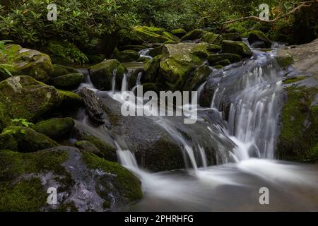 Das Wasser fließt mitten in einem Wald in den Bergen von Tennessee, USA Stockfoto