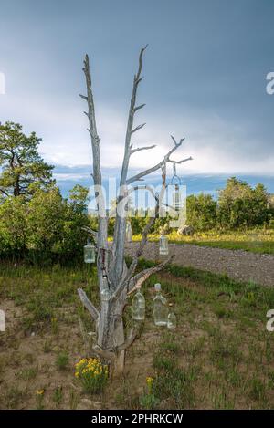 Zur Dekoration hängen Flaschen an den Ästen eines toten Wacholderbaums in den Bergen von Nord-New Mexico, USA. Stockfoto