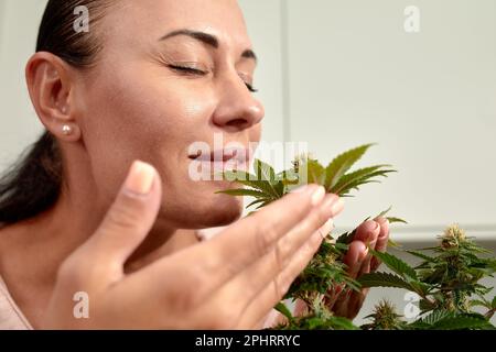 Glückliche Frau mit Cannabisbusch zu Hause, Cannabisanbau im Haus, Kultur des Anbaus von Cannabis zu Hause, das Konzept von Cannabis als Medizin. Stockfoto