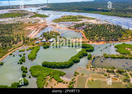 Luftaufnahme der von Windkraftturbinen überblickten landwirtschaftlichen Felder in Kalpitiya in Sri Lanka. Stockfoto