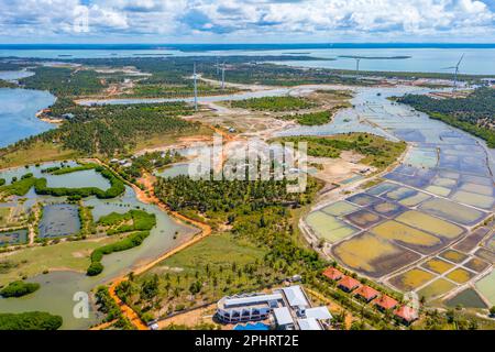 Luftaufnahme der von Windkraftturbinen überblickten landwirtschaftlichen Felder in Kalpitiya in Sri Lanka. Stockfoto