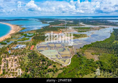 Luftaufnahme der von Windkraftturbinen überblickten landwirtschaftlichen Felder in Kalpitiya in Sri Lanka. Stockfoto