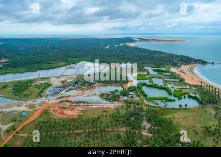 Luftaufnahme der von Windkraftturbinen überblickten landwirtschaftlichen Felder in Kalpitiya in Sri Lanka. Stockfoto