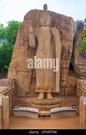 Aukana buddha-Statue in Sri Lanka. Stockfoto