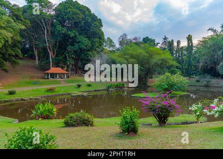 Königlicher botanischer Gardwen in Kandy, Sri Lanka. Stockfoto