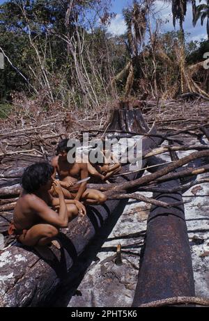 Venezolanischer Regenwald: Eñepa (Panare) Männer inspizieren einen kürzlich verbrannten Garten. Die Eñepa leben im Regenwald nahe den Ausläufern der Sierra de Maigualida. Sie sprechen eine karibanische Sprache. Stockfoto