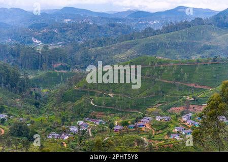 Panoramablick auf Haputale in Sri Lanka. Stockfoto