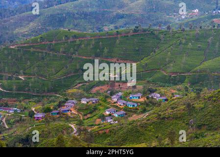 Panoramablick auf Haputale in Sri Lanka. Stockfoto