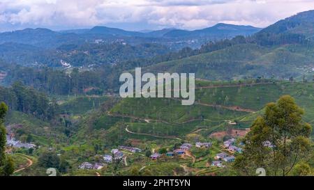 Panoramablick auf Haputale in Sri Lanka. Stockfoto