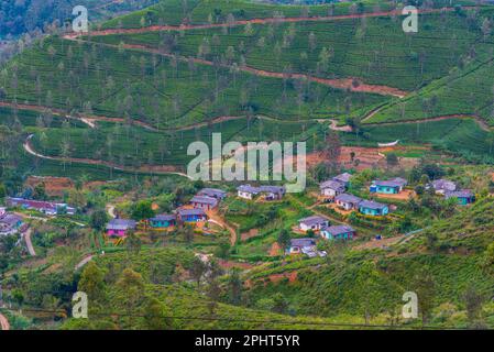 Panoramablick auf Haputale in Sri Lanka. Stockfoto