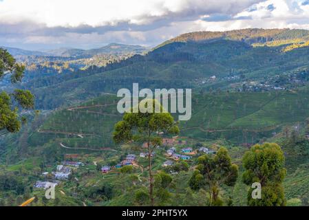 Panoramablick auf Haputale in Sri Lanka. Stockfoto